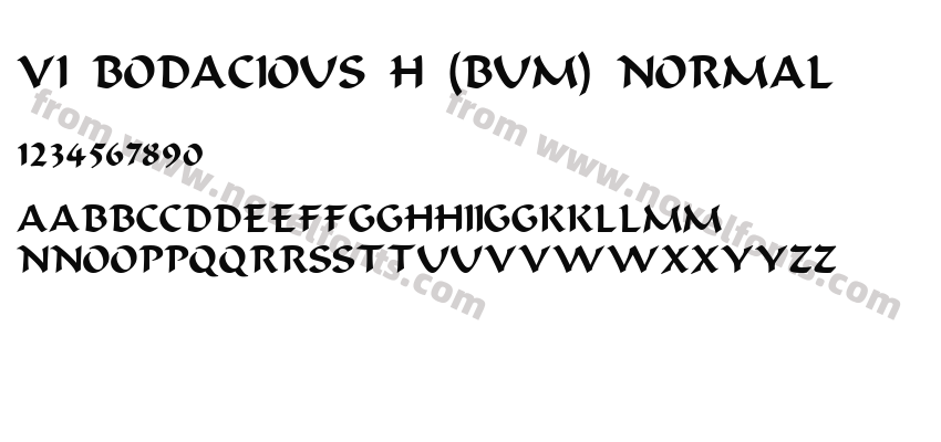 VI Bodacious H ( Bum) NormalPreview