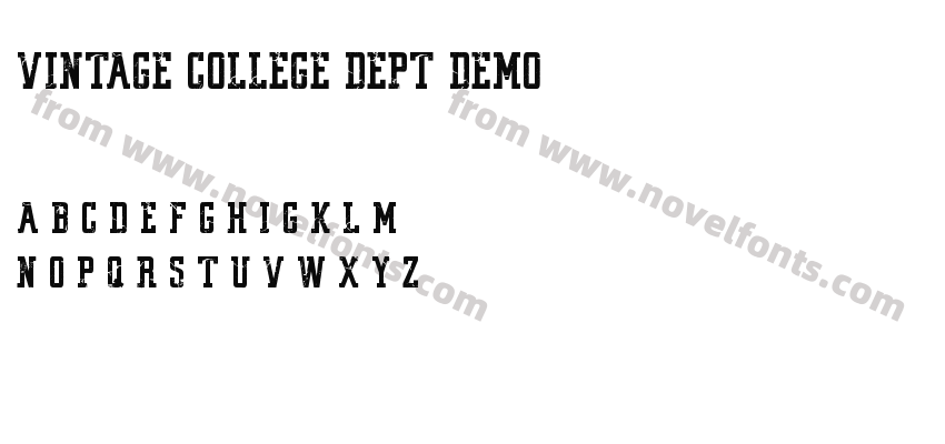 VINTAGE COLLEGE DEPT_DEMO_wornPreview