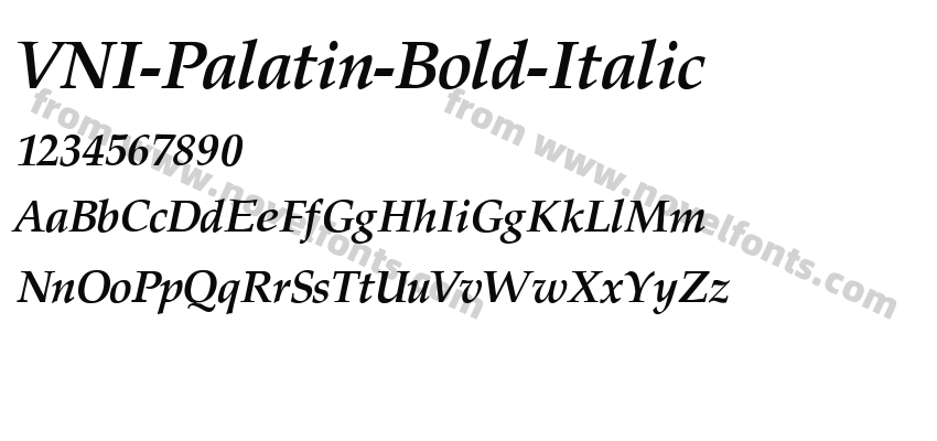 VNI-Palatin-Bold-ItalicPreview