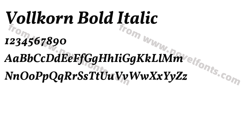 Vollkorn Bold ItalicPreview