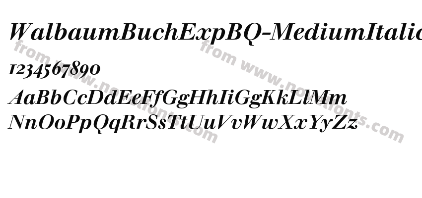 Walbaum Buch ExpBQ Medium Italic OsFPreview