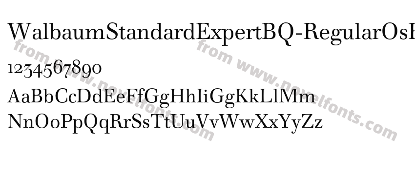 Walbaum Standard ExpertBQ Regular OsFPreview