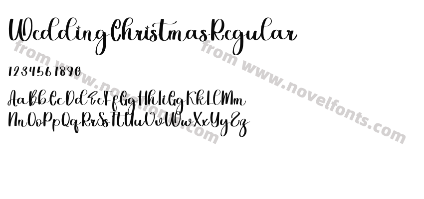 WeddingChristmasRegularPreview