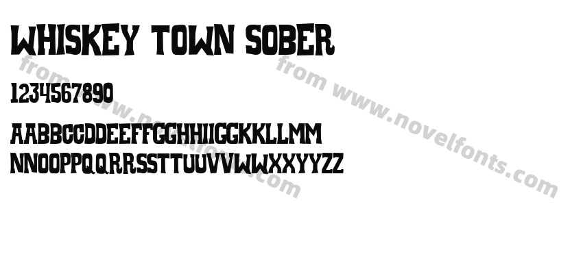 Whiskey Town SoberPreview