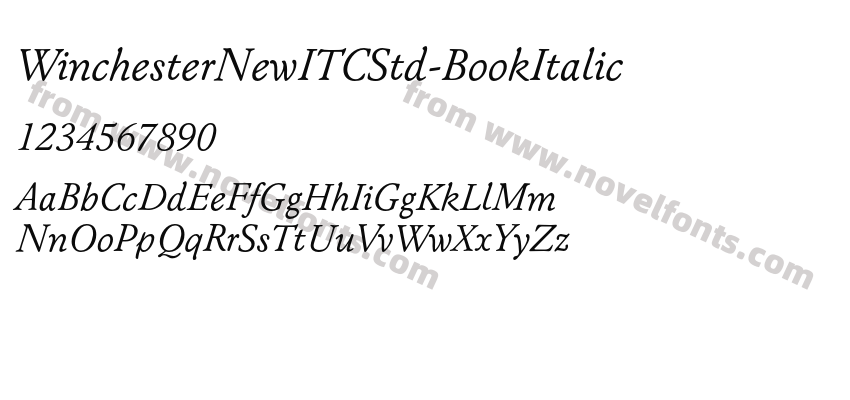 WinchesterNewITCStd-BookItalicPreview