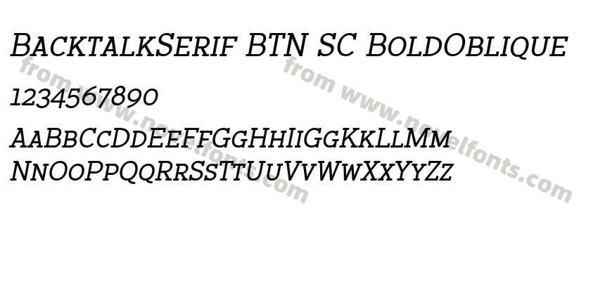 BacktalkSerif BTN SC BoldObliquePreview