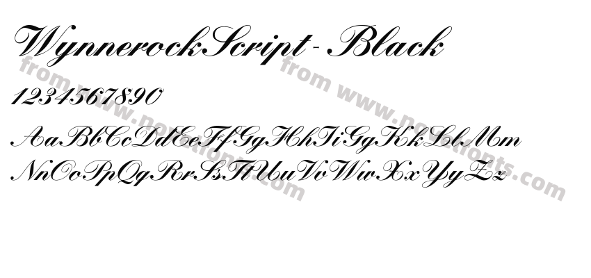 WynnerockScript-BlackPreview