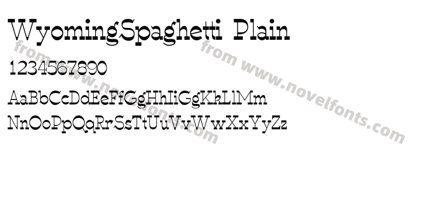 WyomingSpaghetti PlainPreview