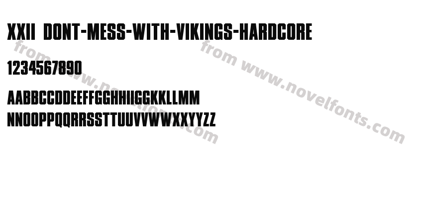 XXII DONT-MESS-WITH-VIKINGS-HARDCOREPreview