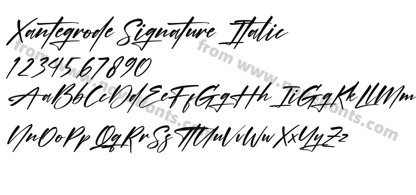 Xantegrode Signature ItalicPreview