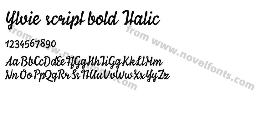 Ylvie script bold ItalicPreview