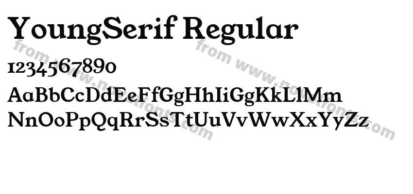 YoungSerif RegularPreview