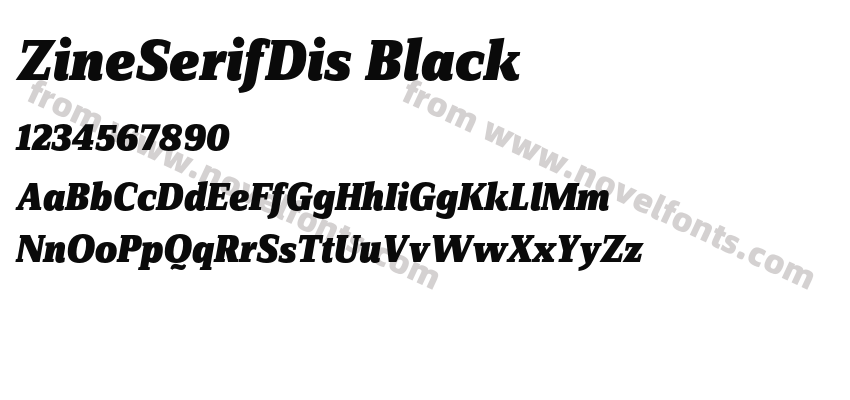 ZineSerifDis BlackPreview