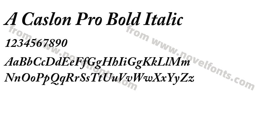 A Caslon Pro Bold ItalicPreview