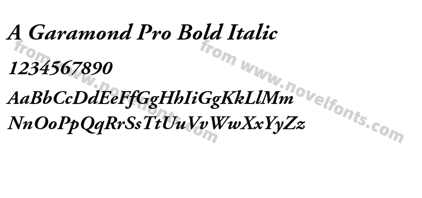 A Garamond Pro Bold ItalicPreview