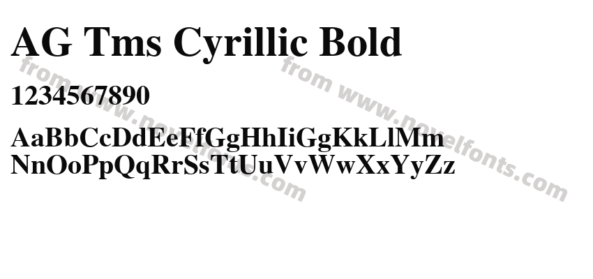 AG Tms Cyrillic BoldPreview