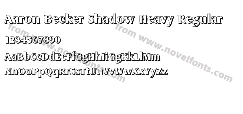 Aaron Becker Shadow Heavy RegularPreview