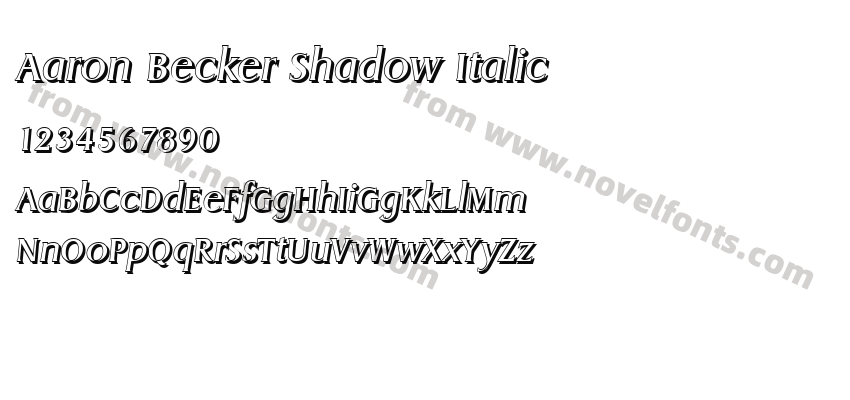 Aaron Becker Shadow ItalicPreview