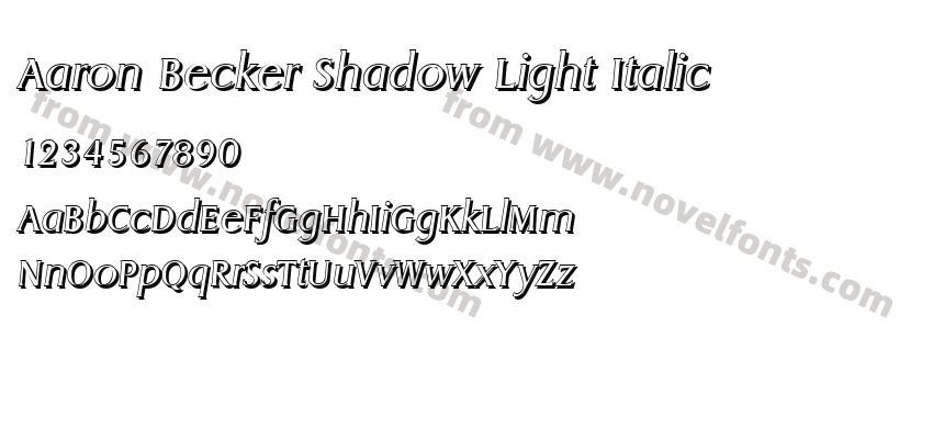 Aaron Becker Shadow Light ItalicPreview