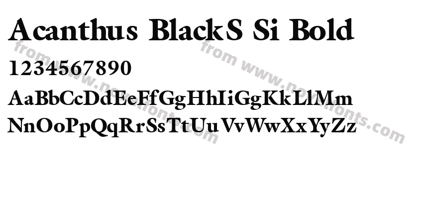 Acanthus BlackS Si BoldPreview