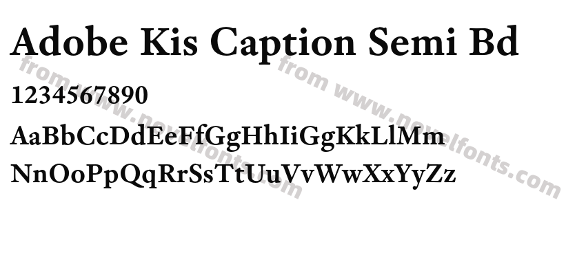 Adobe Kis Caption Semi BdPreview