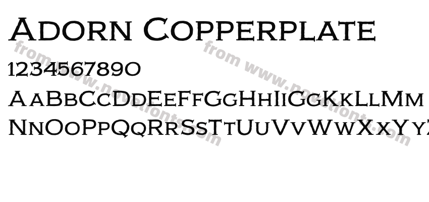 Adorn CopperplatePreview