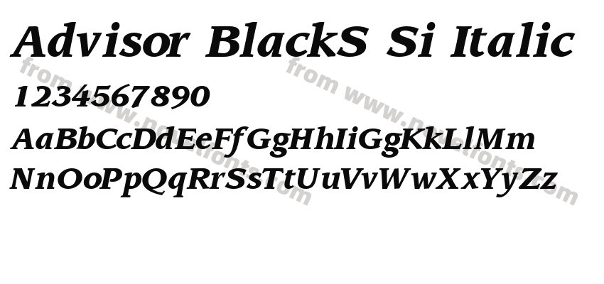 Advisor BlackS Si ItalicPreview