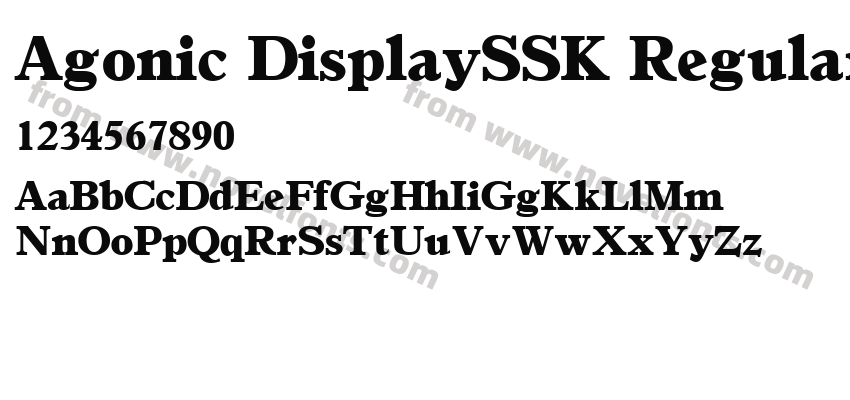 Agonic DisplaySSK RegularPreview