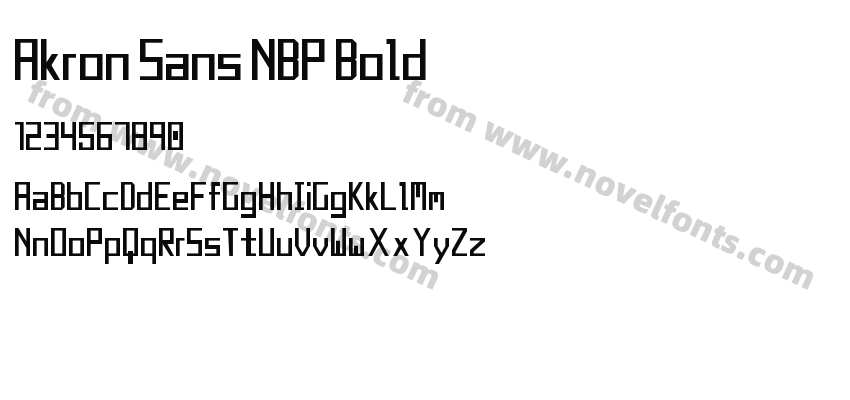 Akron Sans NBP BoldPreview