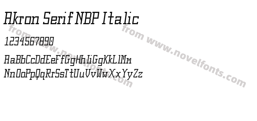 Akron Serif NBP ItalicPreview