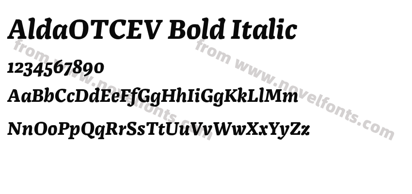 AldaOTCEV Bold ItalicPreview