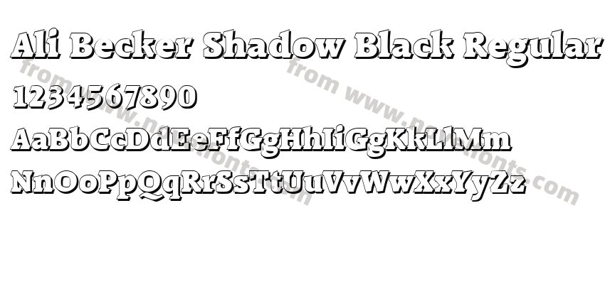 Ali Becker Shadow Black RegularPreview