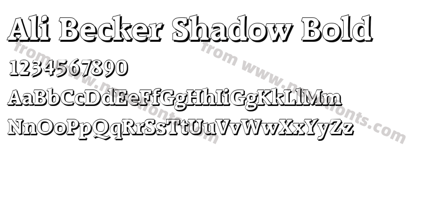 Ali Becker Shadow BoldPreview