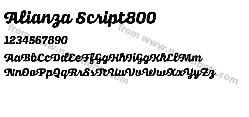 Alianza Script800Preview