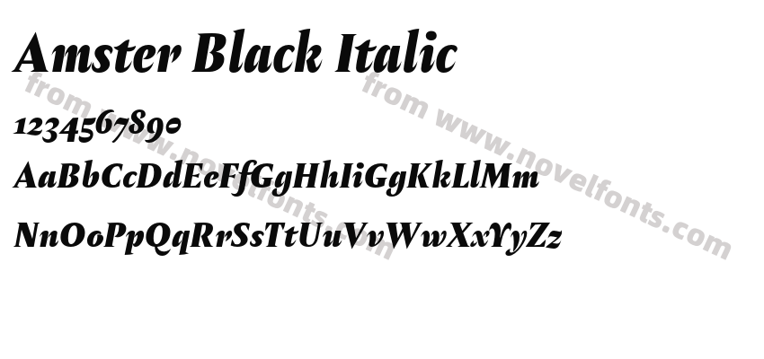 Amster Black ItalicPreview