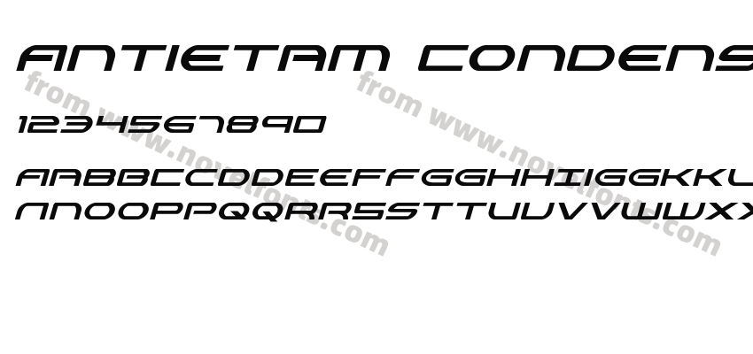 Antietam Condensed ItalicPreview