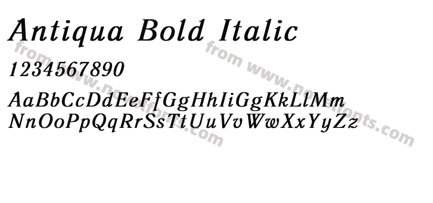 Antiqua Bold ItalicPreview