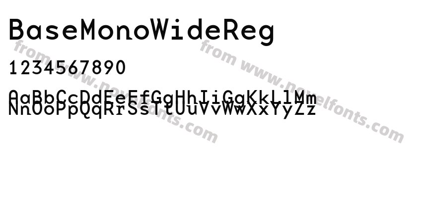 BaseMonoWideRegPreview