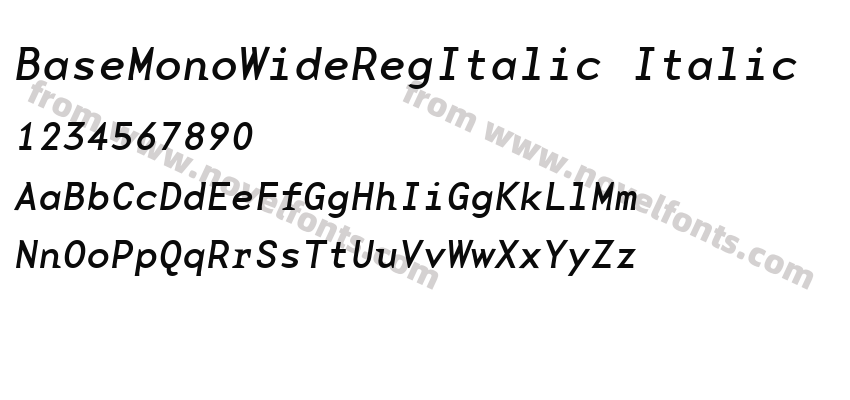 BaseMonoWideRegItalic ItalicPreview