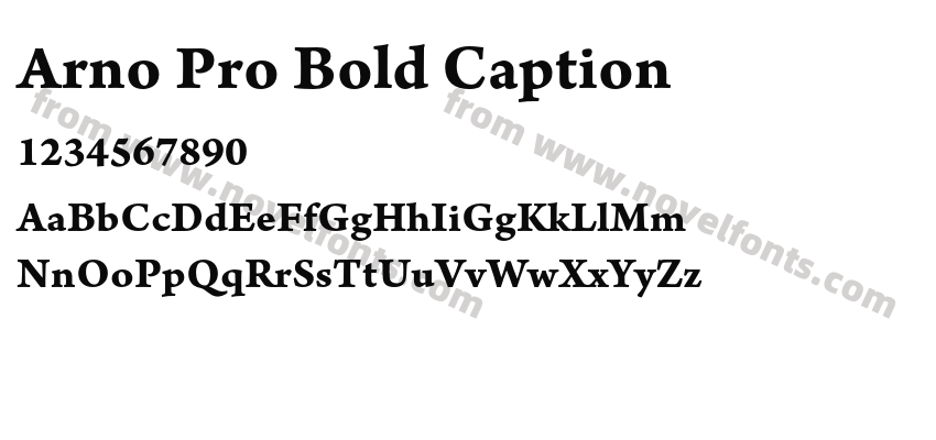 Arno Pro Bold CaptionPreview