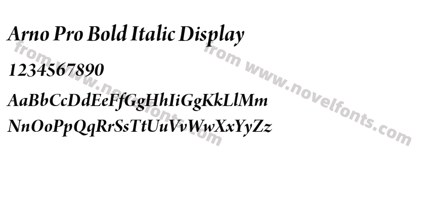 Arno Pro Bold Italic DisplayPreview