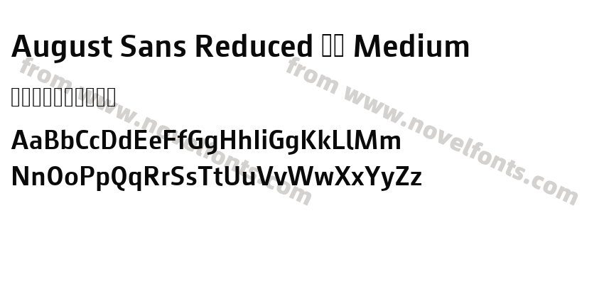 August Sans Reduced 65 MediumPreview