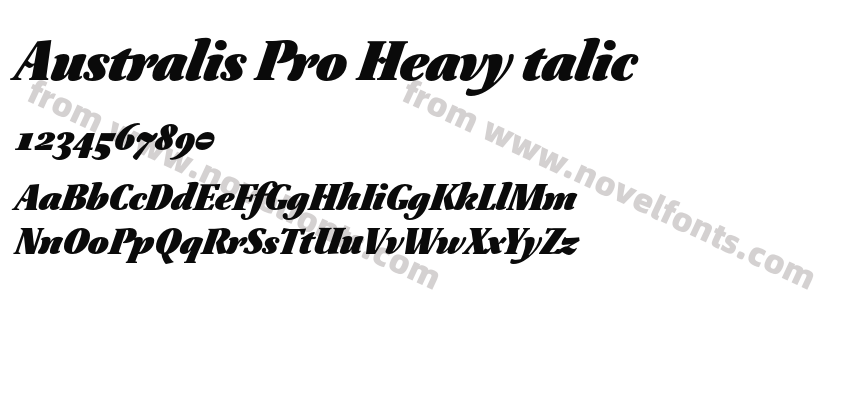 Australis Pro Heavy talicPreview