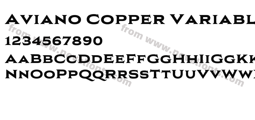 Aviano Copper Variable BlackPreview