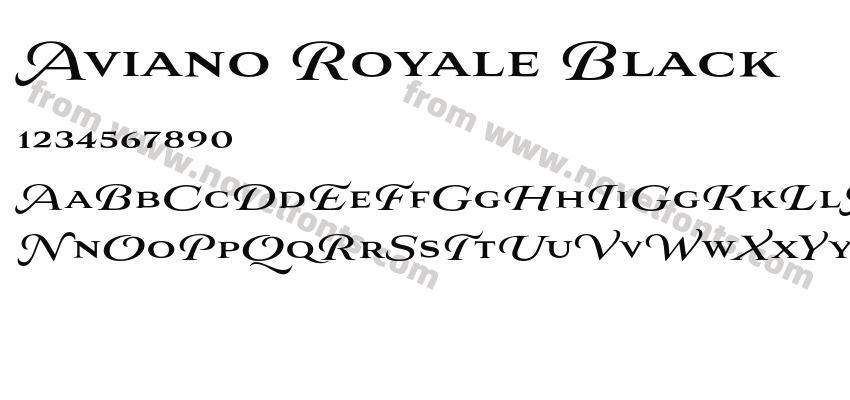 Aviano Royale BlackPreview