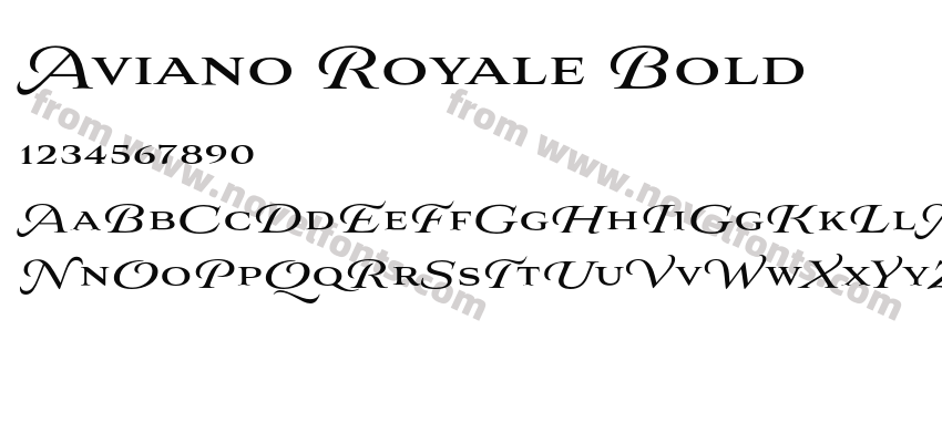 Aviano Royale BoldPreview