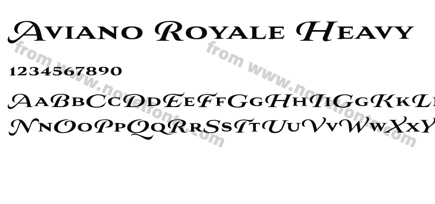 Aviano Royale HeavyPreview