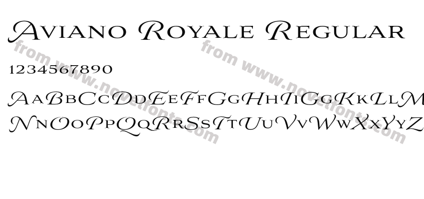 Aviano Royale RegularPreview