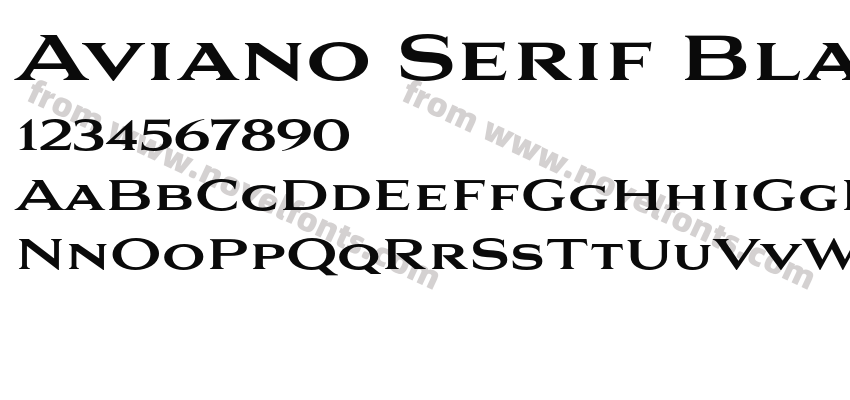 Aviano Serif BlackPreview