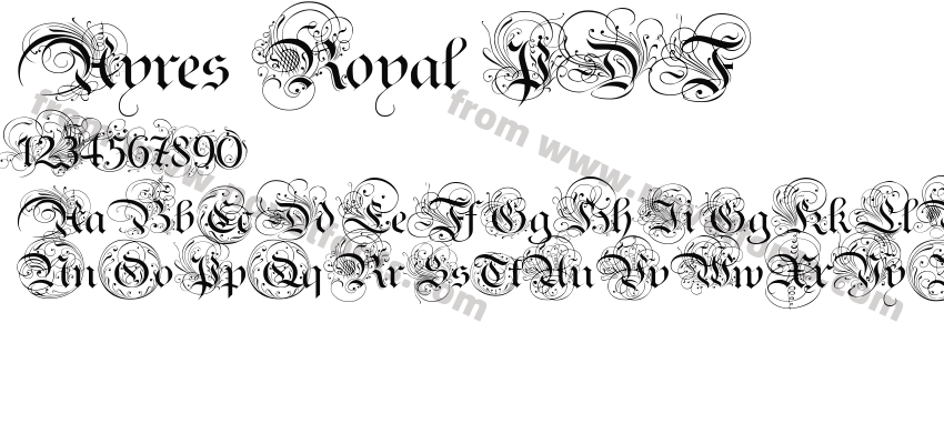 Ayres Royal PDFPreview